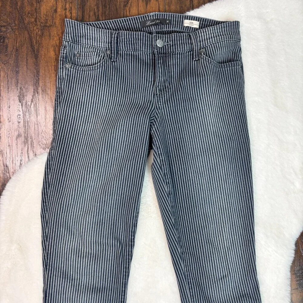 Level 99 Liza Skinny Jeans‎ 30 Striped Blue Gray Mid-Rise Stretch Women's